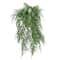 Asparagus Fern Bush by Ashland&#xAE;